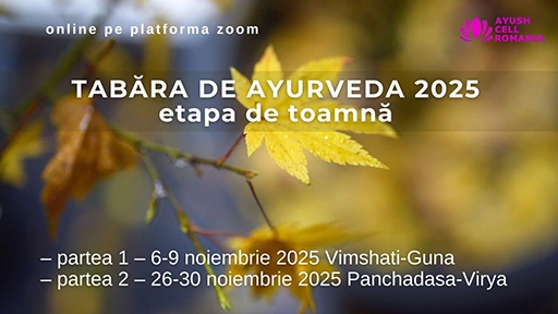 Tabăra de Ayurveda